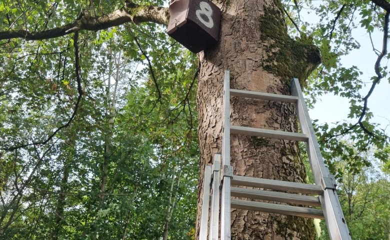 20220914_105138.GenV1