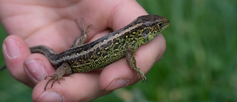 20230503-DSC_5935_crop2