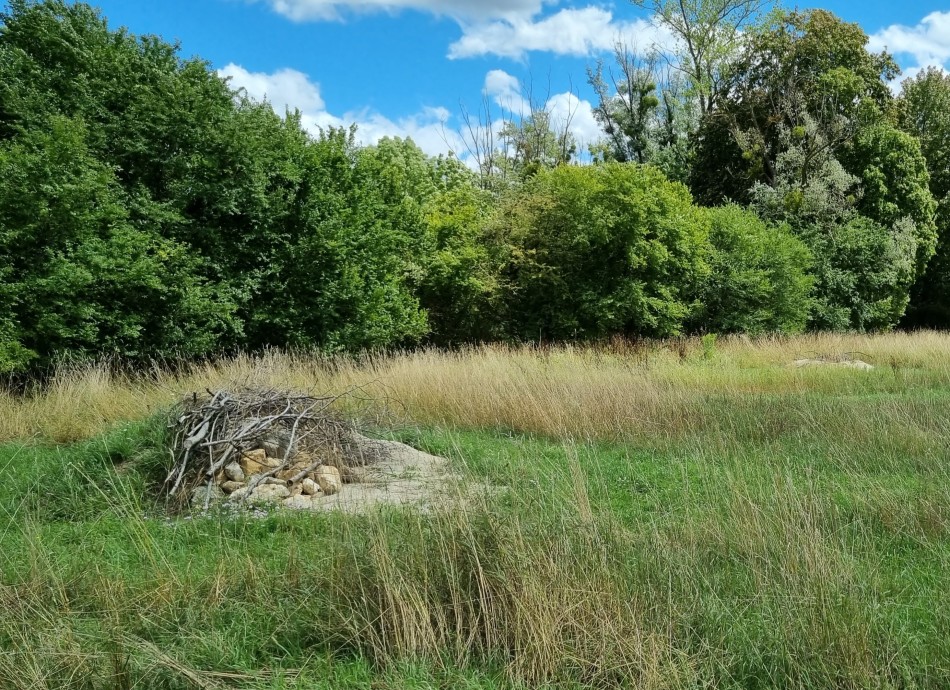 20230803_130209 - Kopie