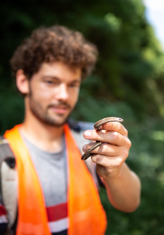 Das ist NATURGUTACHTER